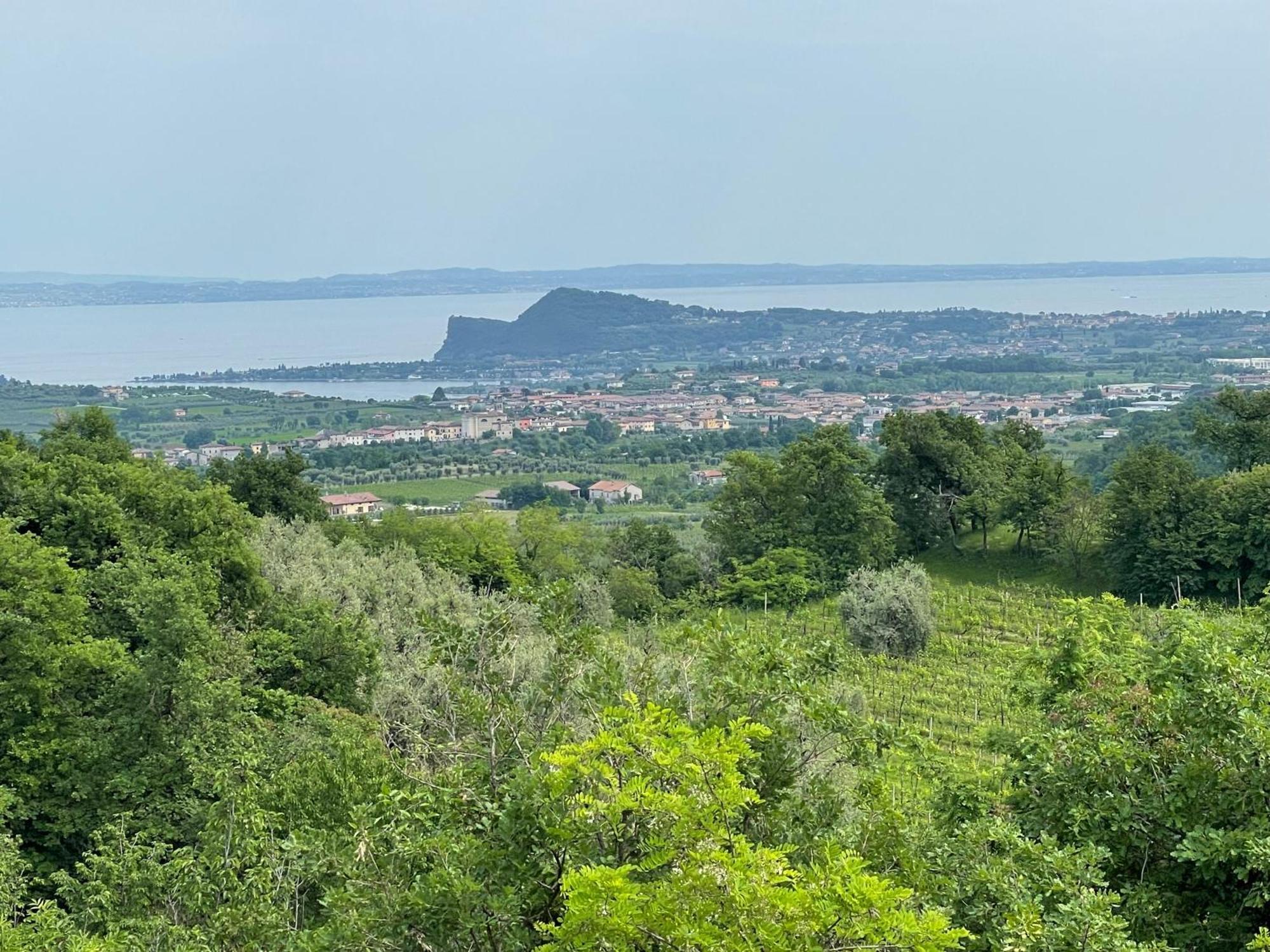 Villa Maria Apartments Moniga del Garda Экстерьер фото